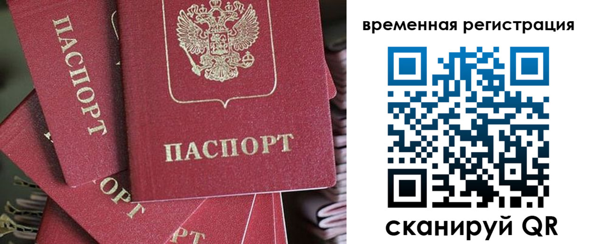 прописка в квартире в Зверево